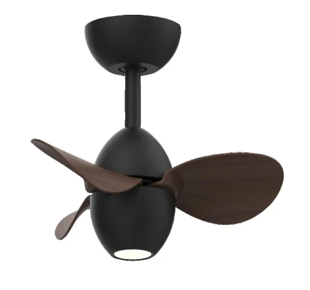 E1015HS — ABS blade ceiling fan with light