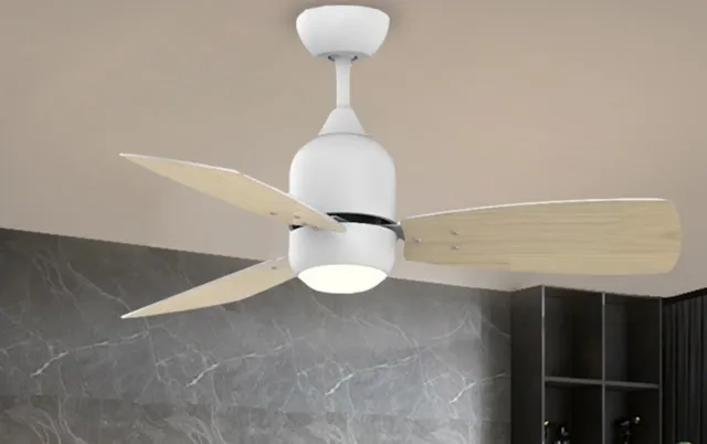 E1017BQ — Plywood blade ceiling fan with light