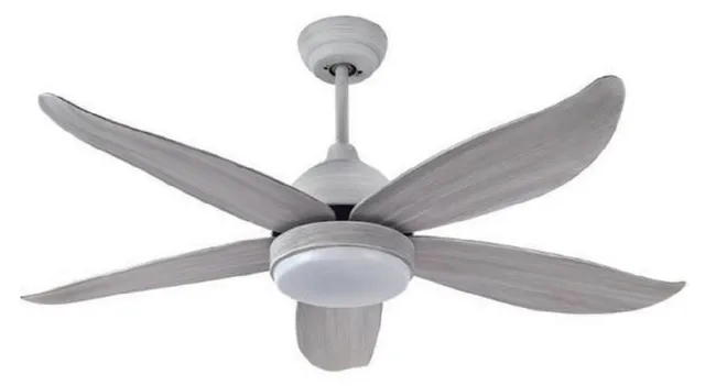 E1046 — ABS blade ceiling fan with light